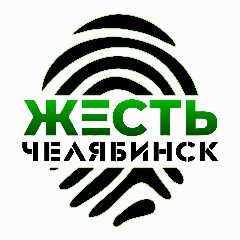 Канал Жесть Челябинск в мессенджере MAX — 675 подписчиков