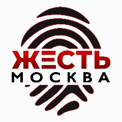Канал Жесть Москва в мессенджере MAX — 1 778 подписчиков