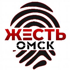 Канал Жесть Омск в мессенджере MAX — 5 491 подписчик