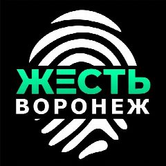 Канал Жесть Воронеж в мессенджере MAX — 13 156 подписчиков