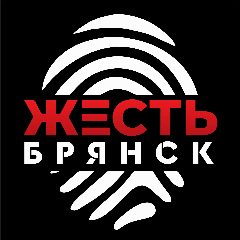 Канал Жесть Брянск в мессенджере MAX — 13 610 подписчиков