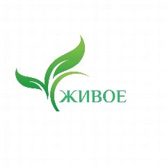 Канал Живое в мессенджере MAX — 160 подписчиков