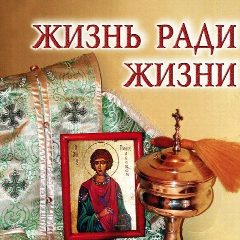 Канал Жизнь Православия в мессенджере MAX — 113 подписчиков