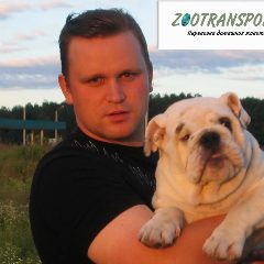 Канал Перевозка, доставка животных | ZOOTRANSPORTS в мессенджере MAX — 189 подписчиков